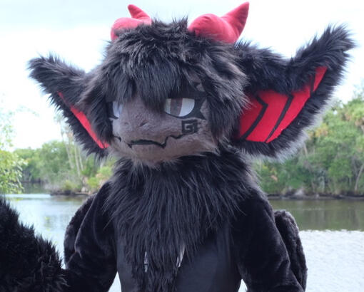 Refurb | ears, neck, face