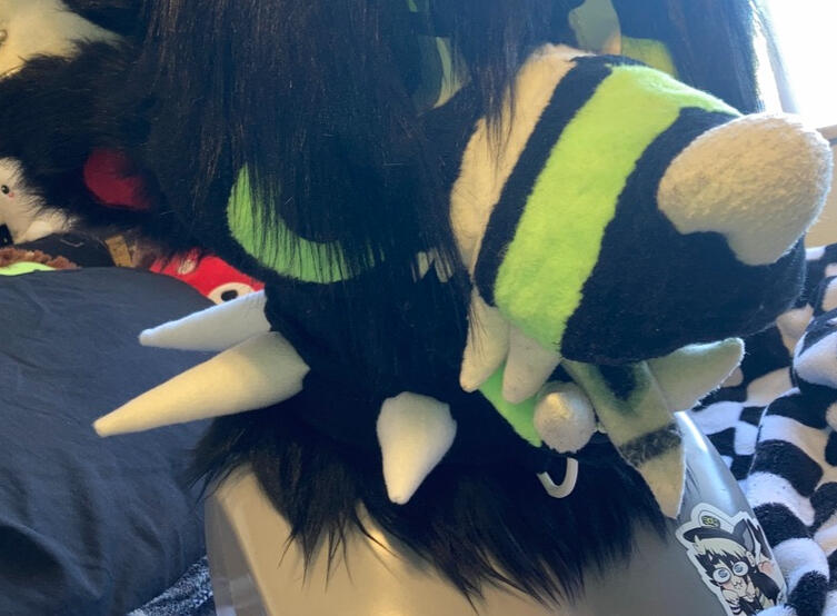 Spiked collar | 2024