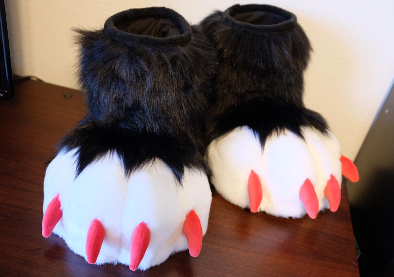 FEETPAWS | 2024