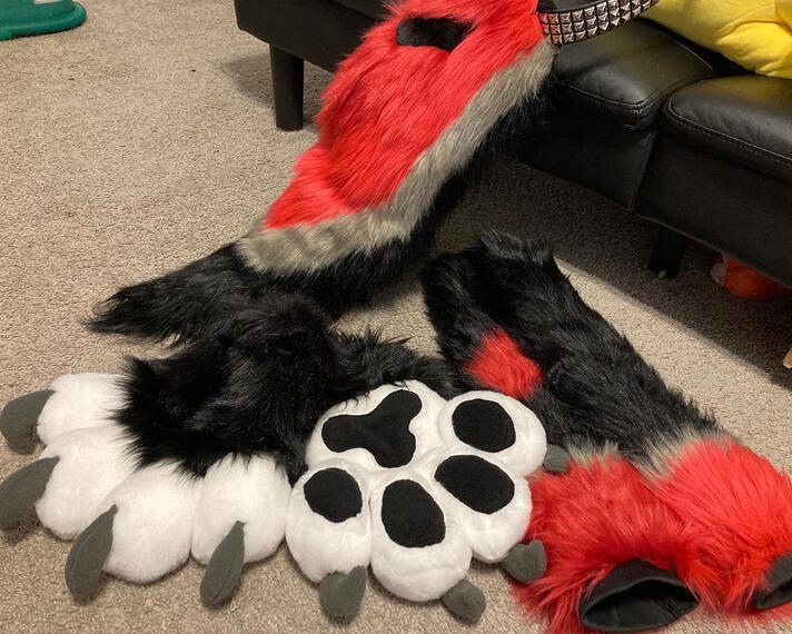 PAWS, ARMS, TAIL | 2023