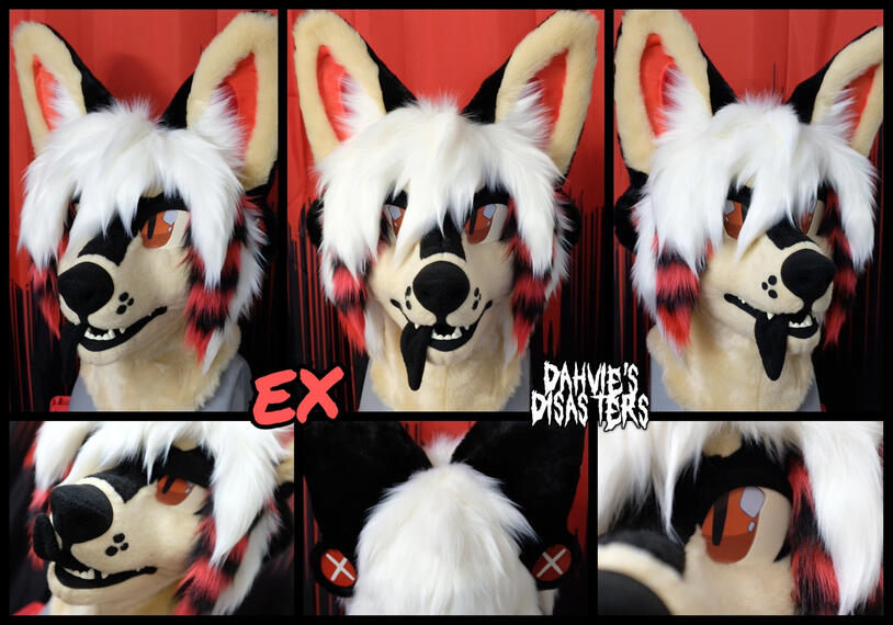 EX | 2025