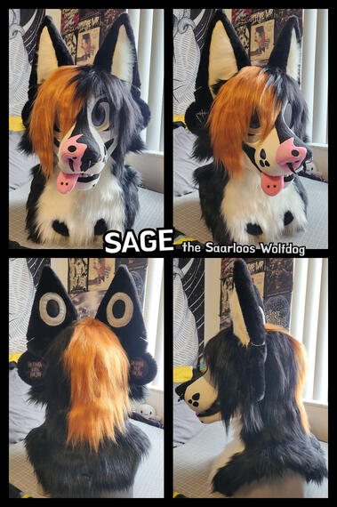 SAGE | 2025