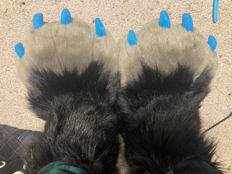 Feetpaws | 2024