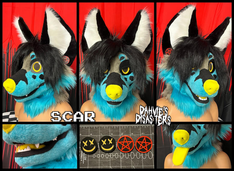 HEAD #6 | 2024