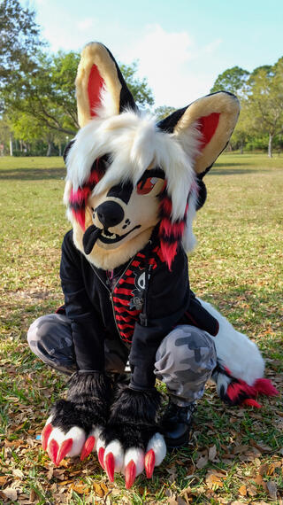 EX Partial | 2025
