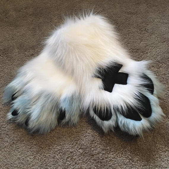 PAWS | 2020