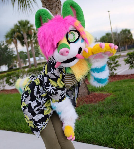 Refurb | Hair, paws, arms