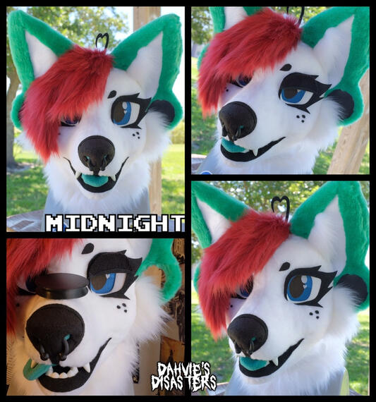 HEAD #7 | 2024