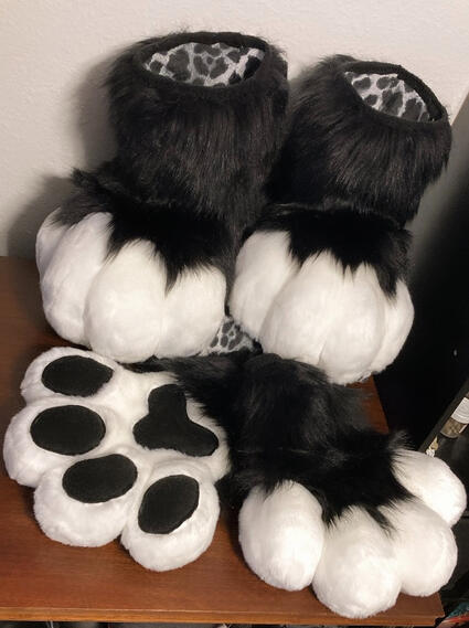 Paw set | 2024